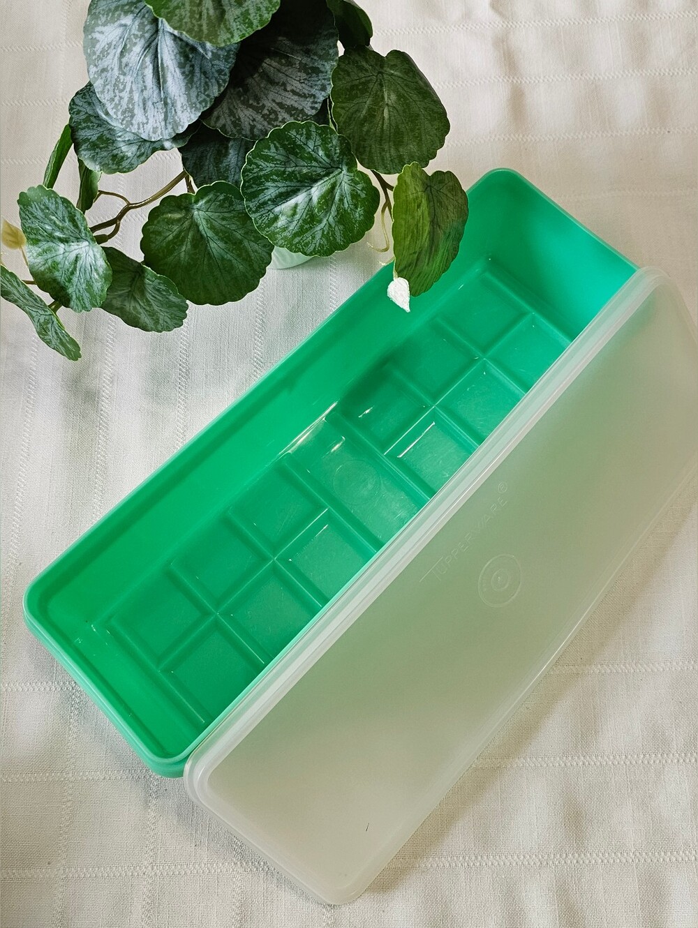 Vintage Tupperware Celery/Vegetable Crisper - Picture 2 of 7